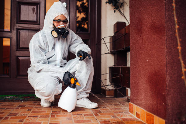 Reliable Cockroach Control contractor in Thousand Palms, CA by Nex Pest Control
